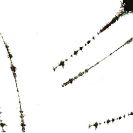 backup dancer (feat. BRB) parasol grove