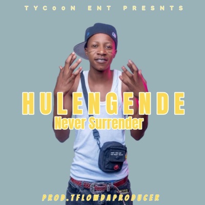 Never Surrender (feat. Hulengende) - Single