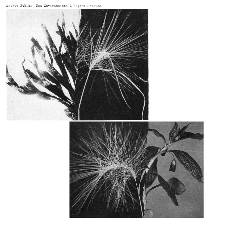 Обложка альбома «New Environments & Rhythm Studies» — Andrew Pekler