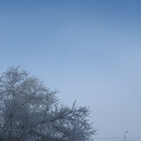 endless winter - Single - inalery