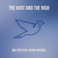 The Hurt and The Highs (feat. Mark Wagner) - Single - Big Fuzz