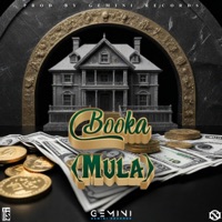 Mula (feat. Booka) - Single - GEMINI RECORDS