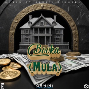 Mula (feat. Booka)
