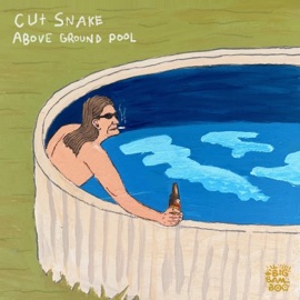 Above Ground Pool Cut Snake