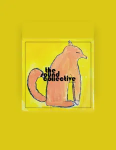 聆聽 MihuT、觀看音樂影片、閱讀小傳、查看巡演日期等！