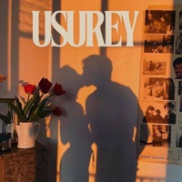 Usurey (feat. Vallavan, Sruthy Sasidharan & Maathevan Thiyagarajan) - Single - Lak