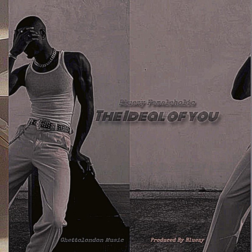 Обложка альбома «The Idea of You - Single» — Bluezy Femaleholic