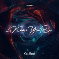 I Know You Do (feat. Soner Karaca) - Single - Can Demir