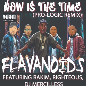 Now Is The Time(PRO-LOGIC RMX) (feat. Dj Mercilless, Righteous & Rakim)