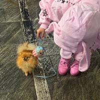 Before self titled - Single - 1kindrare