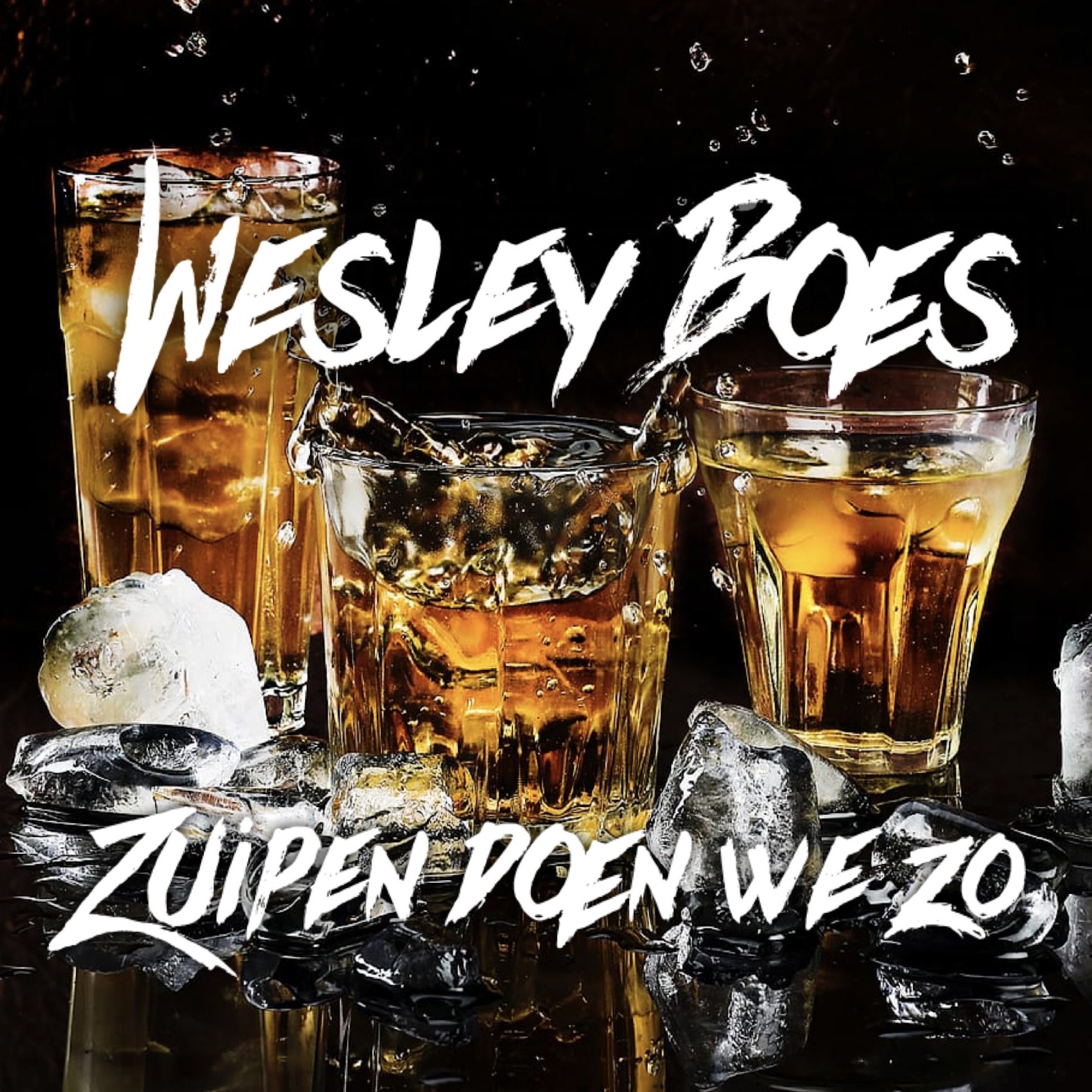 Zuipen Doen We Zo - Single