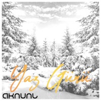 Yaz Günü - Single - AKNUNL