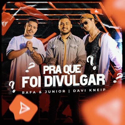 Pra Que Foi Divulgar - Single