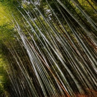 Hymn of the Ancients - Single - 3k3y