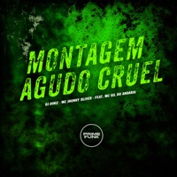 Montagem Agudo Cruel (feat. Mc Gil do Andaraí) - Single - DJ Diniz & MC Jhonny Oliver
