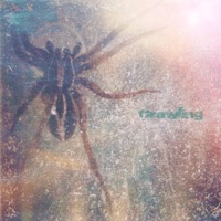Crawling