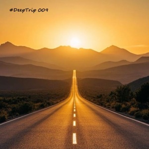 DeepTrip009 (DJ Mix)