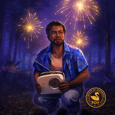 Fireworks (feat. Toqwase) [Radio Edit] - Single