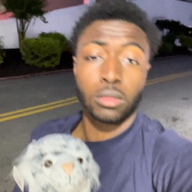 Beach Episode Loomaine