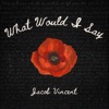 What Would I Say - Single