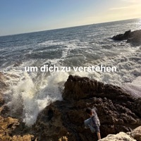 um dich zu verstehen - Single - Tim Fink