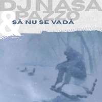 Să nu se vadă (feat. DJ Nasa) - Single - Pazzo