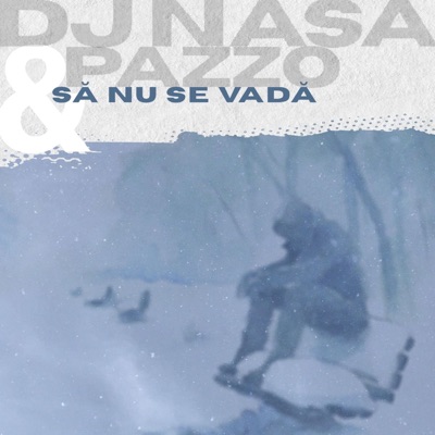 Să nu se vadă (feat. DJ Nasa) - Single