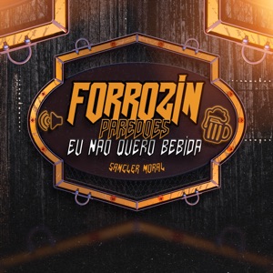 Forrózin Paredões Eu Não Quero Bebida