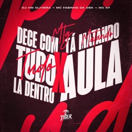 MTG DESCE COM TUDO LA DENTRO X TA MATANDO AULA Dj Hm oliveira, MC Fabinho da Osk & Mc KF