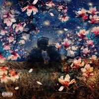 CILIEGI SPOGLI (feat. DNA) - Single - Dimawhite & DNA