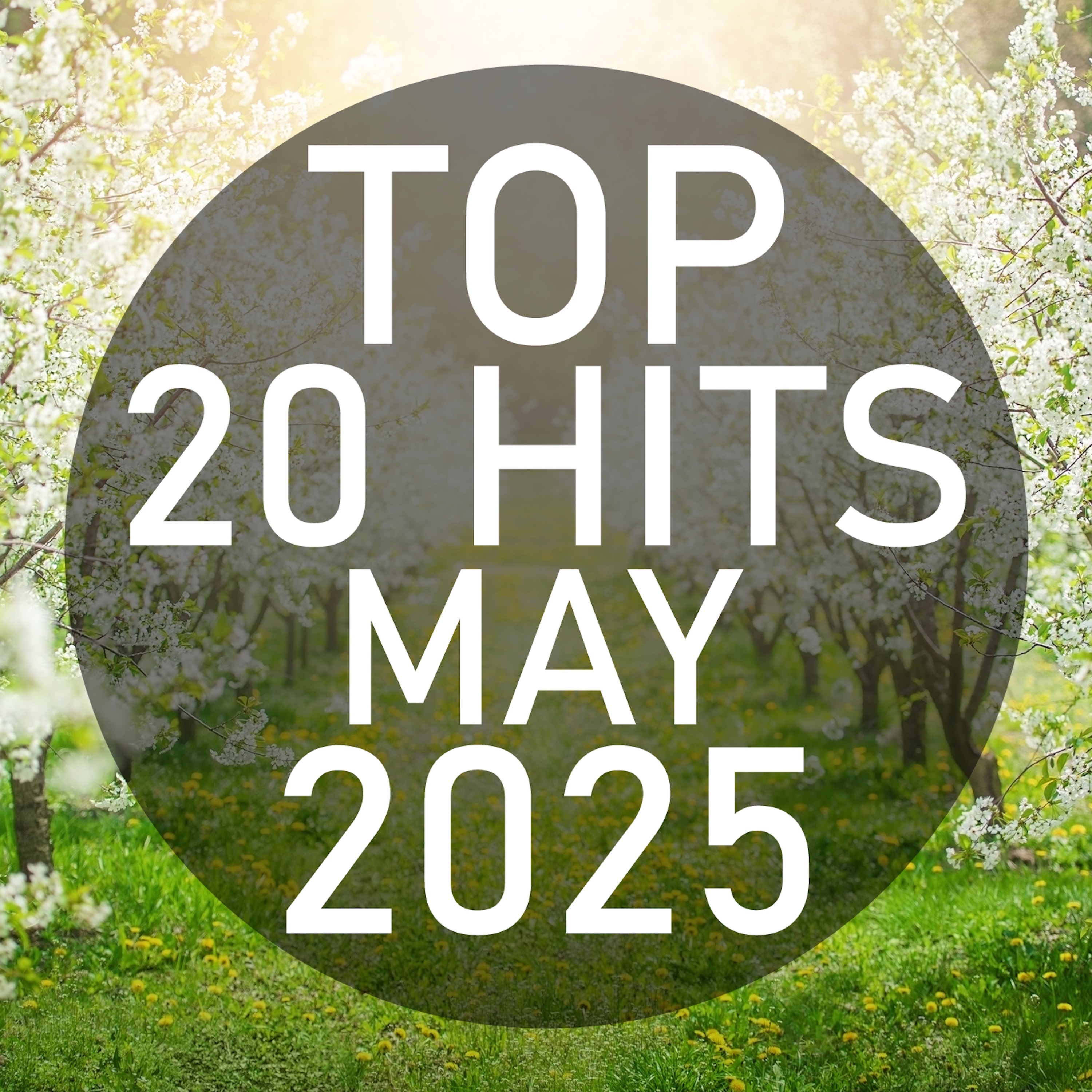 Top 20 Hits May 2025 (Instrumental)