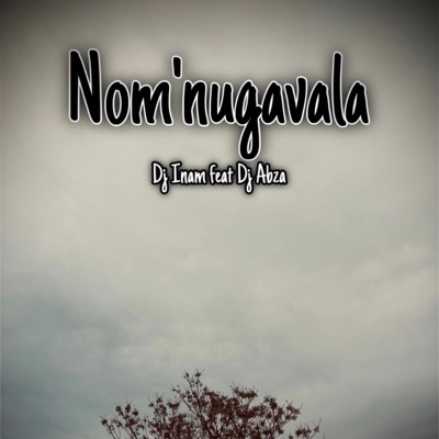 Nom'ungavala (feat. Dj Abza) - Single