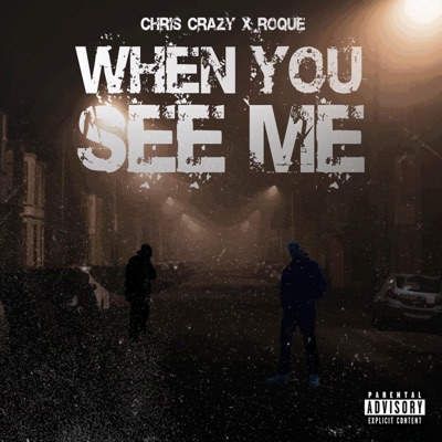 WHEN YOU SEE ME (feat. Roque Thekickitmastah & Marswell) - Single