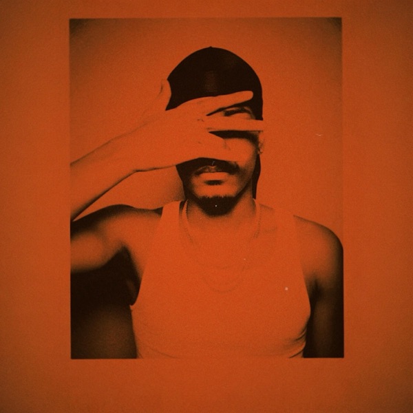 ORIGAMI (XXX VERSION PACK)