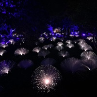 Seeking - Single - Ka! True