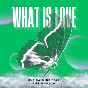What Is Love (feat. GirlInYellow) - Single