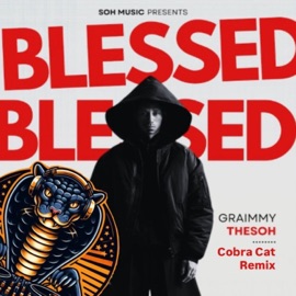 Blessings (DJ Cobra Cat Remix) Graimmy Thesoh