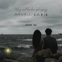 为什么难过一直在重播 (说唱版) - Single - 队长的小斑鸠 & 夏以岛