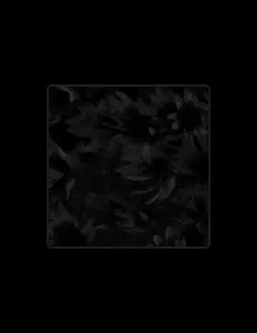 聆聽 Sisar、觀看音樂影片、閱讀小傳、查看巡演日期等！