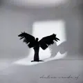 What Am I Made Of