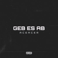 Geb Es Ab - Single - AceAcer