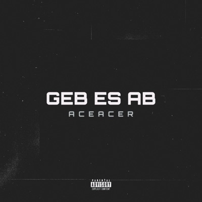 Geb Es Ab - Single