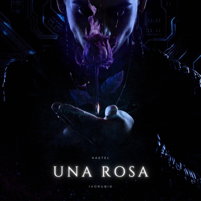 Una Rosa - Single