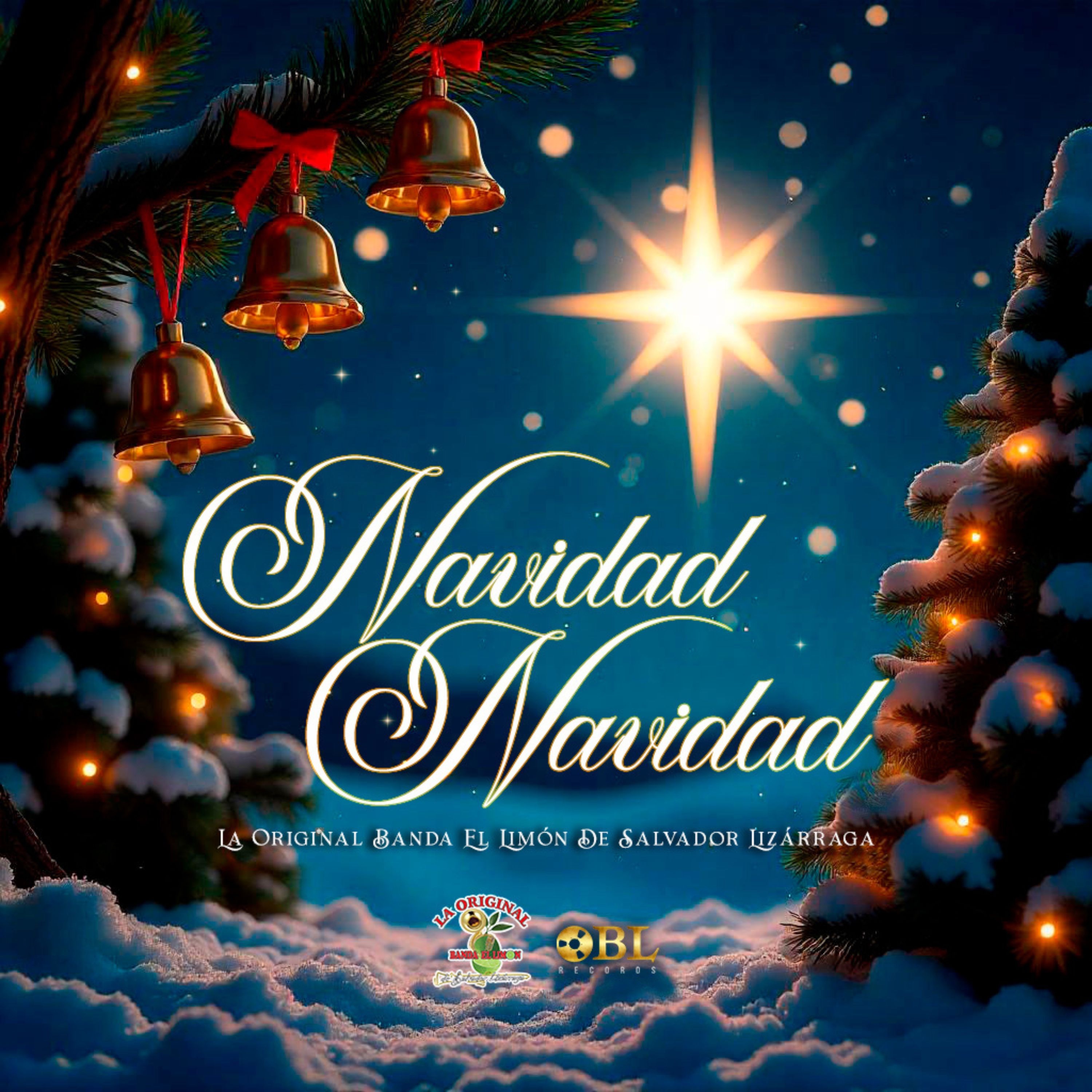 Navidad, Navidad - Single