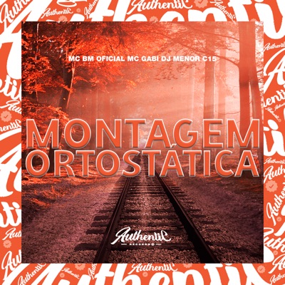 Montagem Ortostática (feat. MC BM OFICIAL & Mc Gabi) - Single