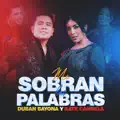 Me sobran las palabras