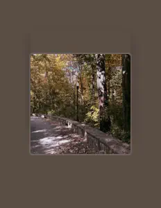 Ascolta Katelyn McSwiney, guarda video musicali, leggi la biografia, vedi le date del tour & altro!