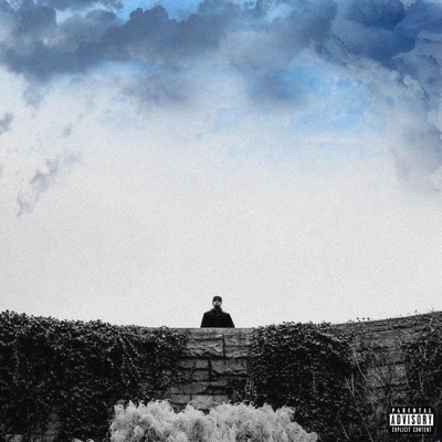 Do U Before Living In Negativity (D.U.B.L.I.N.) [Remastered Version]