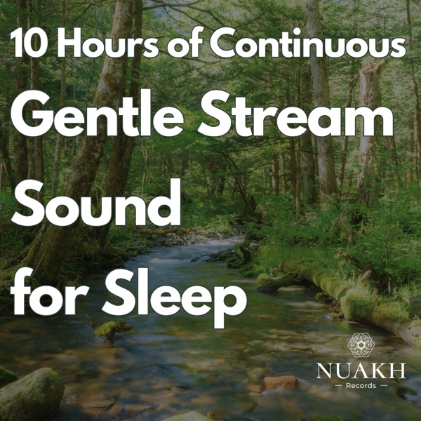 10 Hours of Continuous Gentle Stream for Sleeping