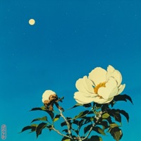 Cycles - Single - Sweeps